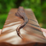 Crocodile Wall Mounted Wooden Wall Art - mokarve